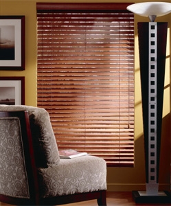 blinds-curtains19.jpg