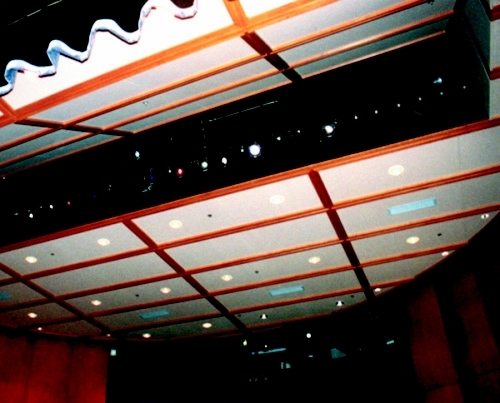 ceilings12.jpg
