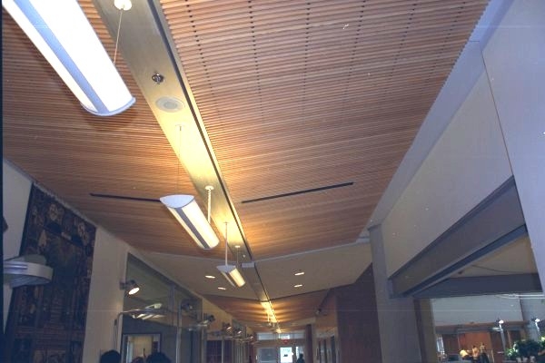 ceilings6.jpg