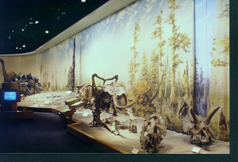 musuem0.jpg