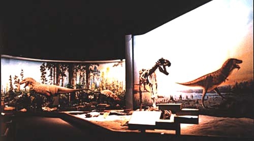 musuem1.jpg