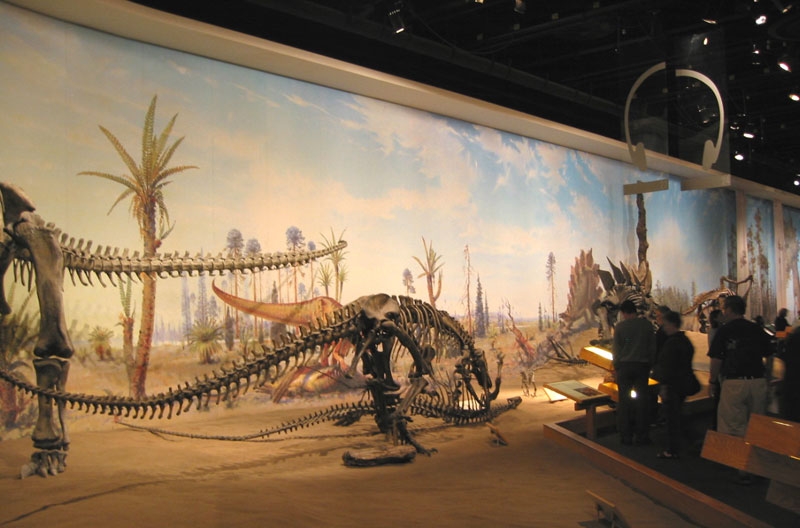musuem13.jpg