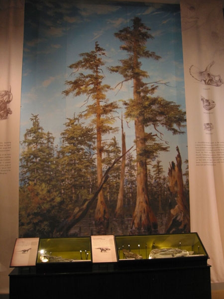 musuem14.jpg