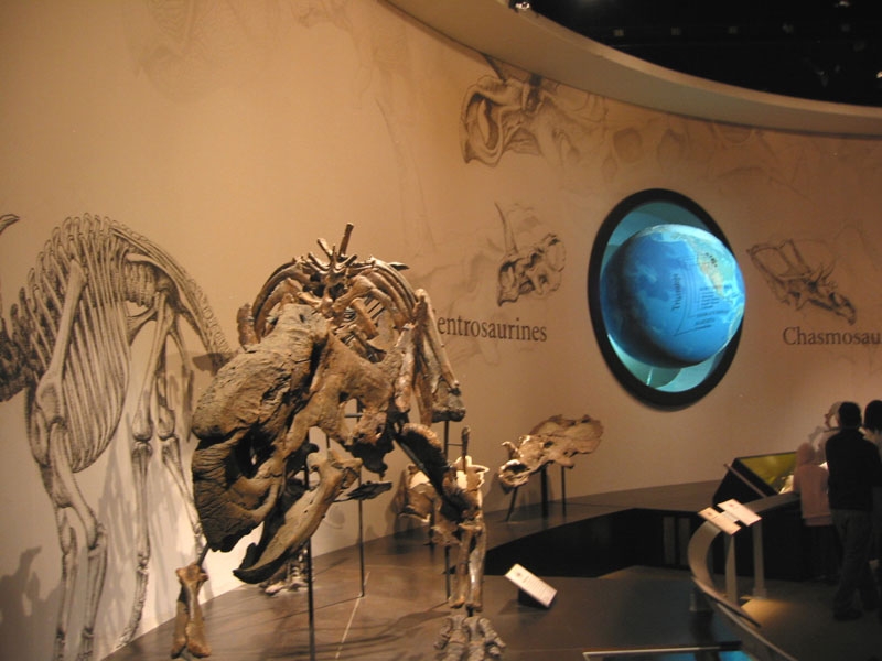 musuem16.jpg