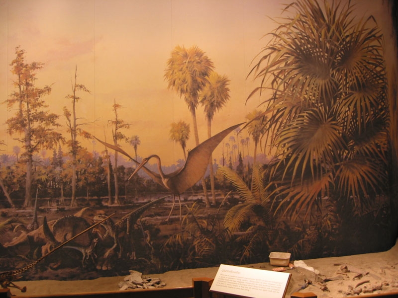 musuem17.jpg