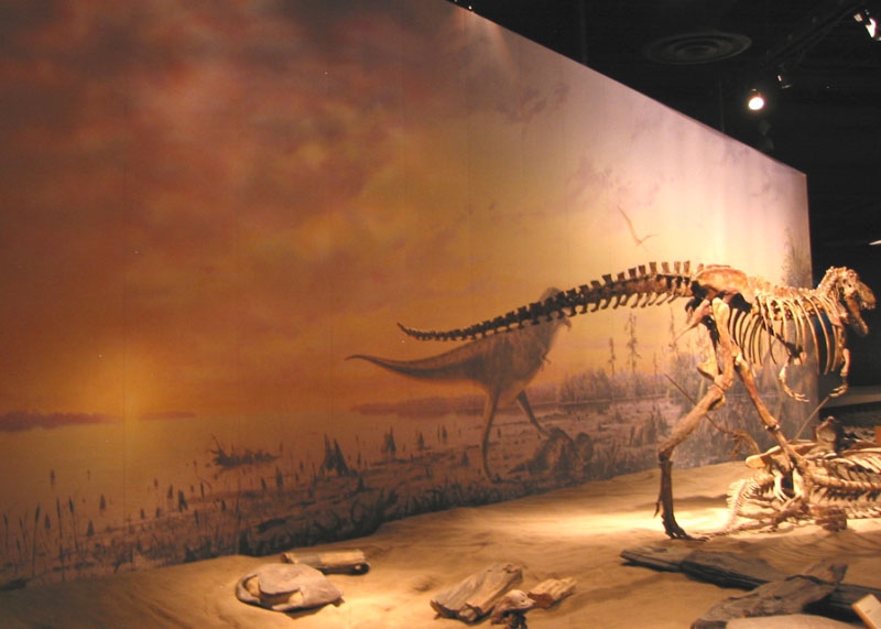 musuem19.jpg