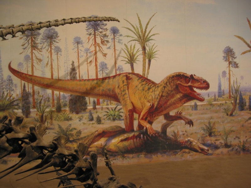 musuem20.jpg