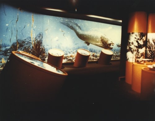 musuem4.jpg