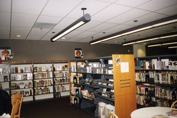 library8.jpg